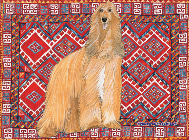 Afghan Hound - Best of Breed Fleece Blanket