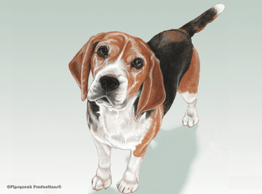 Beagle - Best of Breed Fleece Blanket
