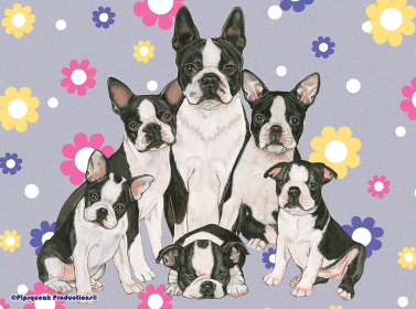Boston Terrier - Best of Breed Fleece Blanket