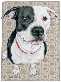 Pit Bull Terrier - Black and White - Best of Breed Dog Breed Fleece Blanket