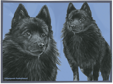 Schipperkes - Best of Breed Fleece Blanket