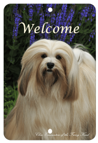 Lhasa Apso - Best of Breed  Indoor/Outdoor Aluminum Sign