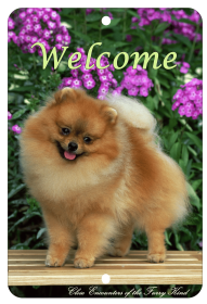 Pomeranian - Best of Breed  Indoor/Outdoor Aluminum Sign