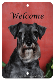 Schnauzer - Uncropped- Best of Breed  Indoor/Outdoor Aluminum Sign