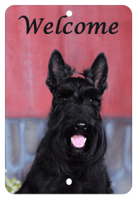 Scotty - Best of Breed  Indoor/Outdoor Aluminum Sign