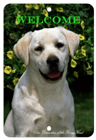 Labrador Retriever - Yellow - Best of Breed  Indoor/Outdoor Aluminum Sign