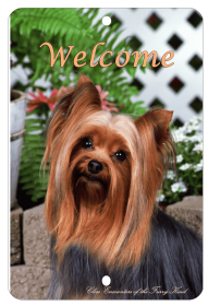 Yorkie  - Best of Breed  Indoor/Outdoor Aluminum Sign