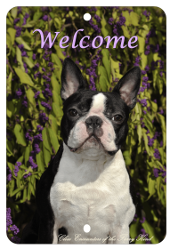 Boston Terrier - Best of Breed  Indoor/Outdoor Aluminum Sign