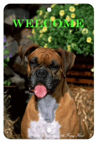 Boxer - Uncropped - Best of Breed  Indoor/Outdoor Aluminum Sign