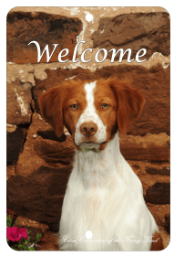 Brittany Spaniel - Best of Breed  Indoor/Outdoor Aluminum Sign