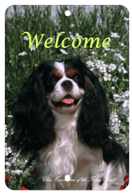 Cavalier King Charles Spaniel - Tri  - Best of Breed  Indoor/Outdoor Aluminum Sign