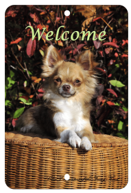 Chihuahua - Longhair - Best of Breed  Indoor/Outdoor Aluminum Sign