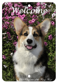 Corgi - Pembroke - Best of Breed  Indoor/Outdoor Aluminum Sign