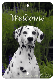 Dalmatian - Best of Breed  Indoor/Outdoor Aluminum Sign