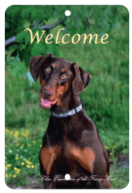 Doberman - Uncropped - Best of Breed  Indoor/Outdoor Aluminum Sign