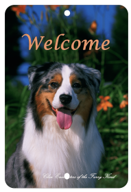 Australian Shepherd - Best of Breed  Indoor/Outdoor Aluminum Sign