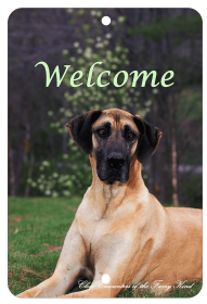 Great Dane - Best of Breed  Indoor/Outdoor Aluminum Sign