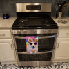 Samoyed 3 Hippie Dawg Kitchen Towel