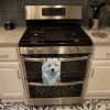 American Eskimo in Sunflowers Kitchen Towel
