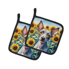 American Hairless Terrier 6010 In Sunflowers Pair of Potholders