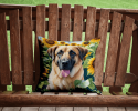 Anatolian Shepherd 6012 In Sunflowers Throw Pillow
