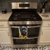 Cairn Terrier 1 in Sunflowers Kitchen Towel