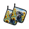 Cane Corso 6045 In Sunflowers Pair of Potholders