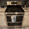 Coton de Tulear in Sunflowers Kitchen Towel