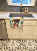 Boxer 2 Luau Kitchen Towel