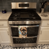 Brussels Griffon 2 Luau Kitchen Towel