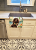 Cocker Spaniel 1 Luau Kitchen Towel