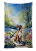 Boxer 2 Spring Path Kitchen Towel