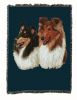 Collie Cotton Woven Throw