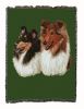 Collie Cotton Woven Throw