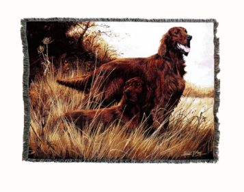 Irish Setter A Cotton Woven Throw