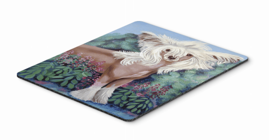 Chinese Crested 2 Art Hot Pad or Trivet