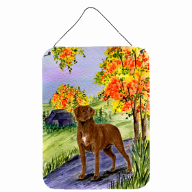 Chesapeake Bay Retriever Art Wall or Door Hanging Prints