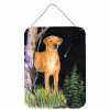 Rhodesian Ridgeback "Starry Night" Wall or Door Hanging Prints