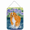 Nova Scotia Duck Trolling Retriever 1 "Art" Wall or Door Hanging Prints