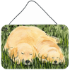 Golden Retriever 30 "Art" Wall or Door Hanging Prints
