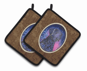 Flat Coated Retriever Starry Night Pair of Potholders