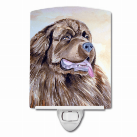Newfoundland Ceramic Nightlight