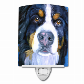 Bernese Mountain Dog - Luca - Ceramic Nightlight