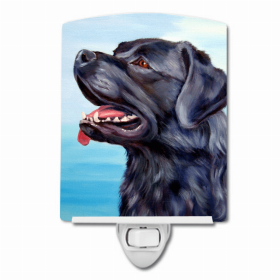 Labrador Retriever - Black - Ceramic Nightlight