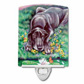 Great Dane - Blue - Ceramic Nightlight