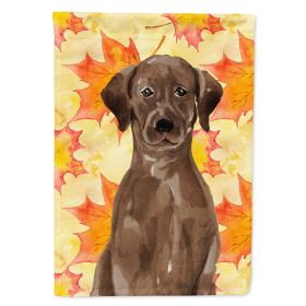 Labrador Retriever - Chocolate - Fall House Flag