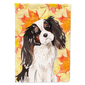 Cavalier King Charles Spaniel - Tricolor - Fall House Flag