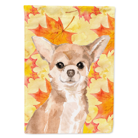 Chihuahua Fall House Flag