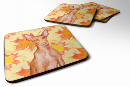 Pharaoh Hound Fall Leaves Art Foam Coaster