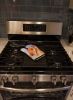 Airedale 1 Artwork Oven Mitt